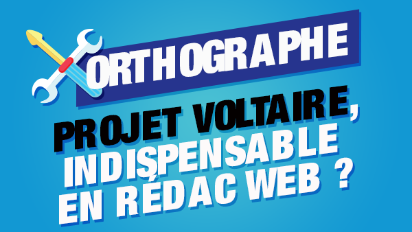 Le projet Voltaire est-il un indispensable pour devenir rédacteur web ?